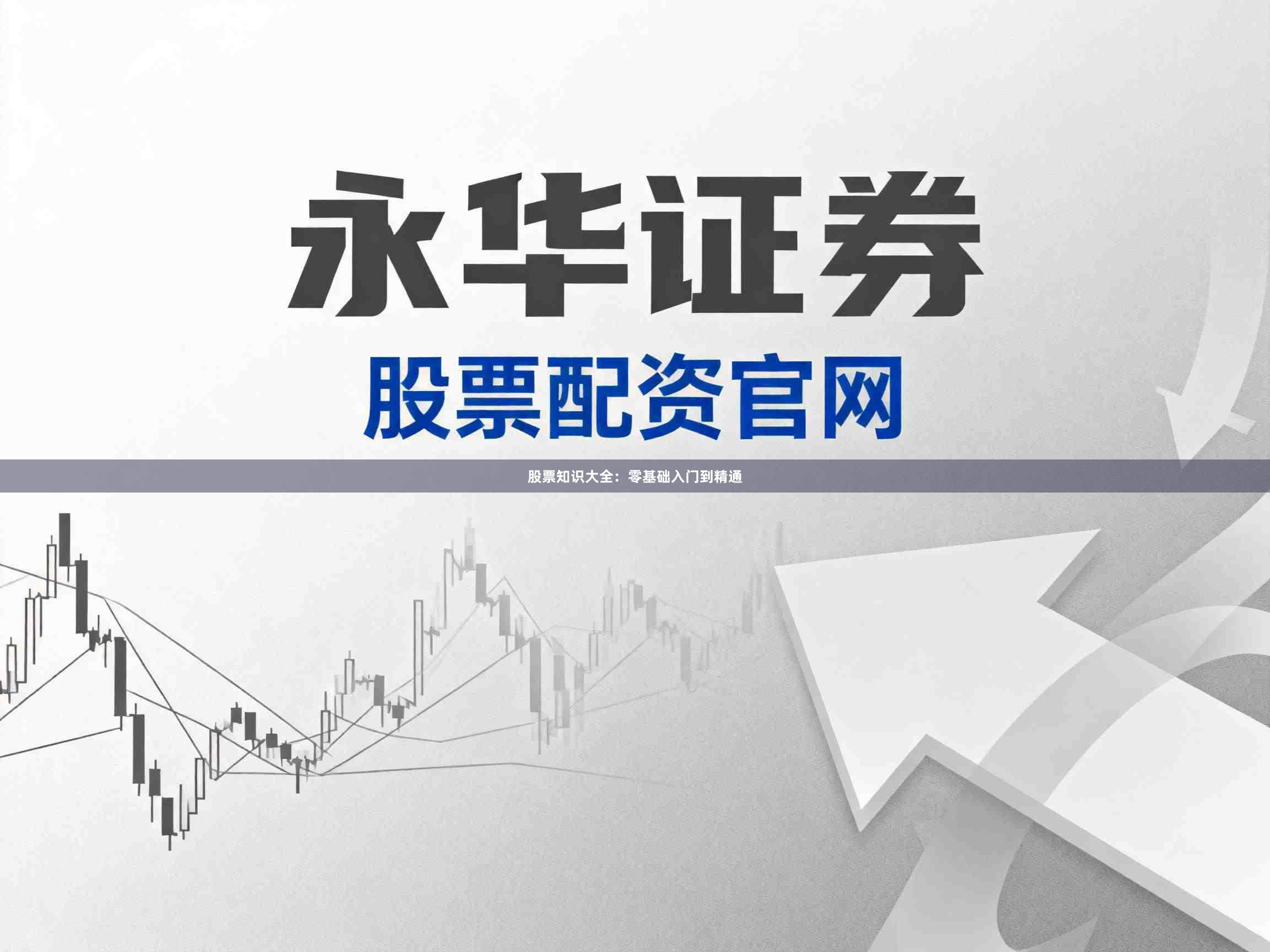 股票知识大全：零基础入门到精通